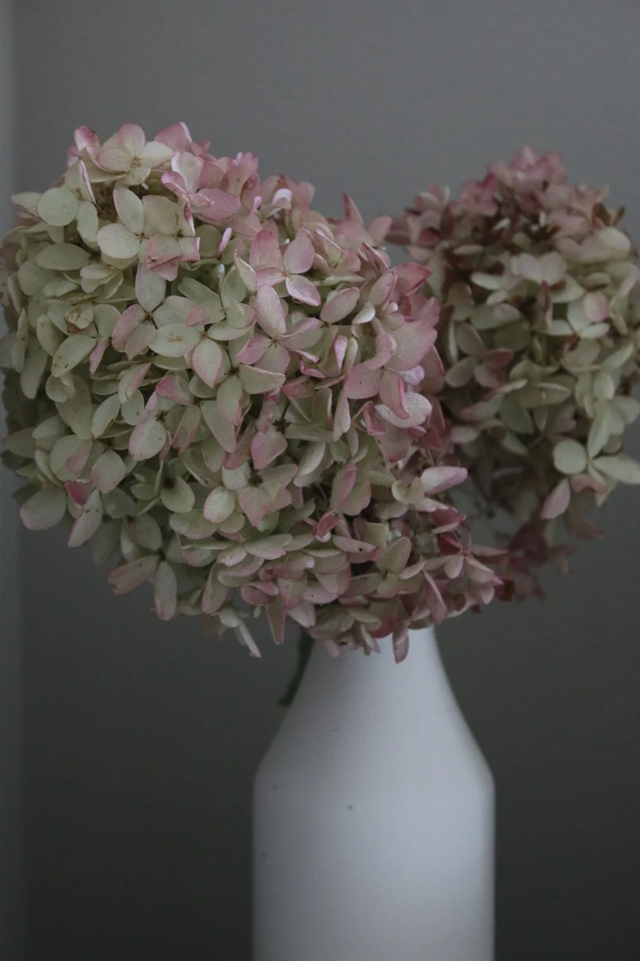 A serene hydrangea arrangement in a white vase, perfect for home decor.