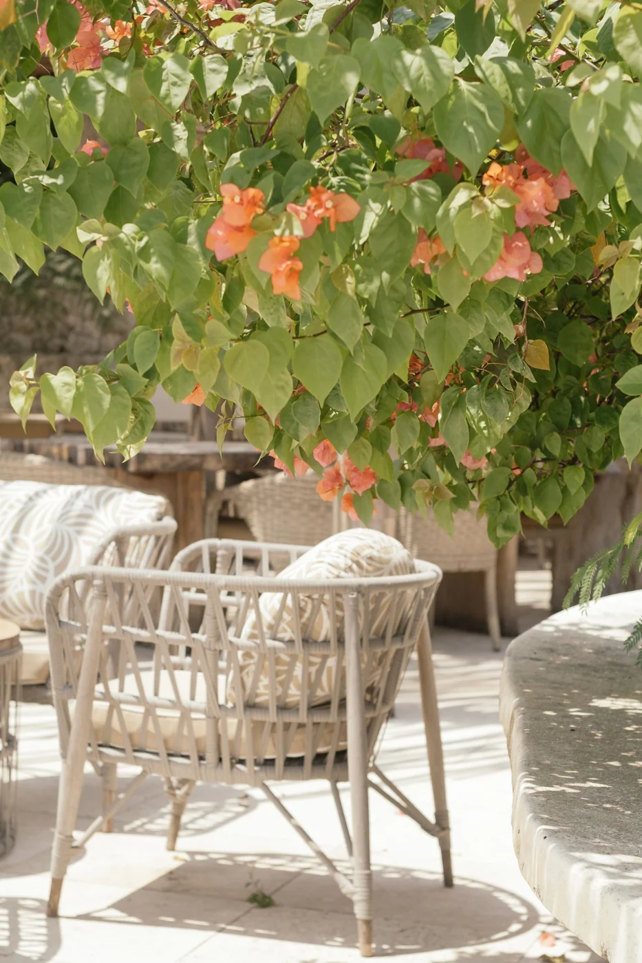 Stylish outdoor patio with rattan furniture set against blooming bougainvillea in summer light.